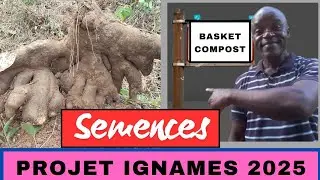 pr&eacute;paration des semences d'ignames (miniset)