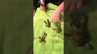 Ninja turtles 2012-turtles vs splinter-stop motion ￼