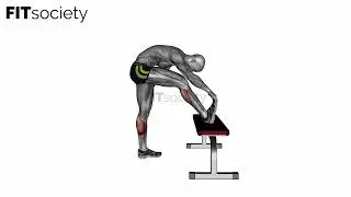 Standing Gastrocnemius Stretch - Exercise - Fitness Oefening - Fitsociety