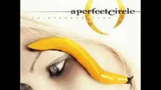 06. A Stranger - A Perfect Circle