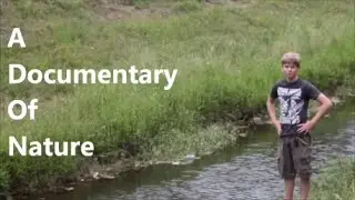 A Documentary Of Nature (Funny Parody) | Tadan.