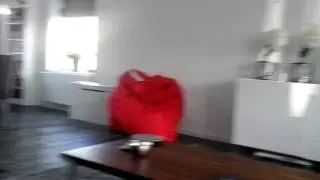 Heel groot sjokolade konijn