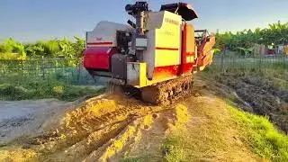 ধান কাটার সময় হারভেস্টার কাঁদাতে ফেঁসে গেল 😱 | Paddy Harvester Stuck in Mud