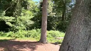 FDR State Park Yorktown Heights NY Usa