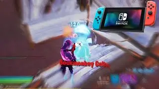 Editing Faster Than Macros on Nintendo Switch!