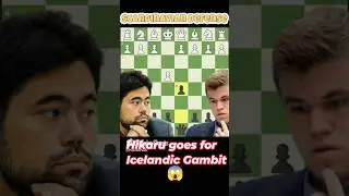 @GMHikaru revealed the Most Dangerous Scandinavian defense Icelandic Gambit 😱 #chess