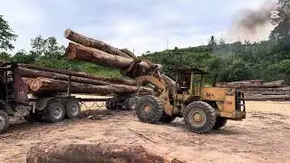 Unloading logging 3836 from block