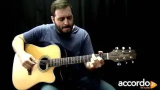Takamine GD20-NS