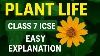 Plant Life | Class 7 Biology |  Explained | Functions of Root&ndash;Stem&ndash;Leaf | Easy  | ICSE/CBSE | Full