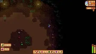 Stardew Valley Beach solo farm