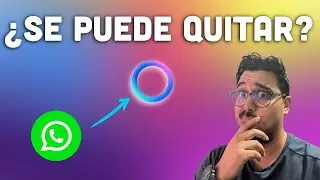 &iexcl;No Caigas! El C&iacute;rculo Azul de WhatsApp No Se Elimina, Pero Esto S&iacute; Funciona