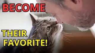 How CATS CHOOSE Their FAVORITE Person