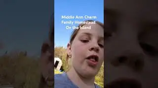 Middle Arm Charm Family Homestead on the island - this will be where we share our family adventures!