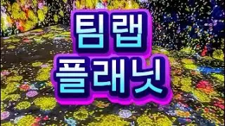 [Zella&rsquo;s Moment] 팀랩 플래닛 가든 🌿 #팀랩플래닛 #TeamLabPlanets #TeamLabTokyo #Zella #tokyo  #감성영상 #빛과예술 #도쿄여행