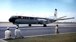 (FG2024) Uselessly Unnecessary | London Heathrow Air Crash 