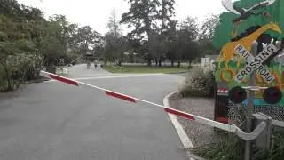 Norfolk Zoo train