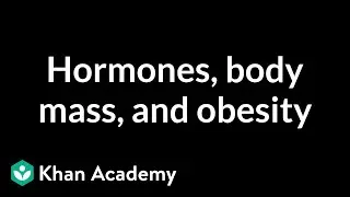 Hormones, body mass, and obesity