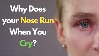 Interesting facts|Why Does our Nose Run When we Cry?|Interesting GK|How Human Body Works