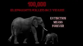 Stop Poaching!