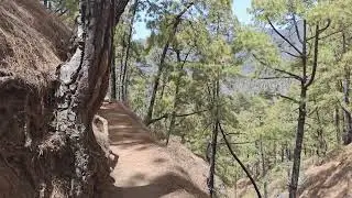CALDERA DE TABURIENTE - LA PALMA