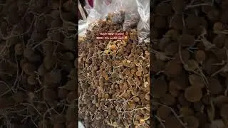 මරු බිස්නස්#business # business ideas#streetfood #srilanka #shorts #shortvideo #shortsviral