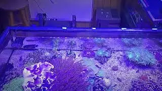 Follow-Up: Orphek Osix OR3-LED Bar Controller