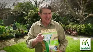 How to grow a thick, lush and healthy lawn using Munns Professional Lawn Fertilisers - Kim Syrus
