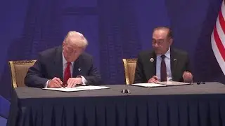 Трамп заключает соглашения о торговле и критически важных полезных ископаемых в Юго-Восточной Ази...