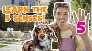 Jazzi Pop! & Moose Explore the 5 Senses 👀👂👃✋👅 | Fun Learning for Kids