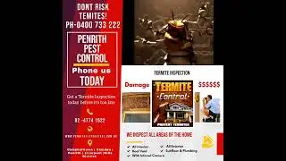 Penrith Pest Control   With Termidor