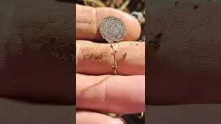 STUNNING HENRY 7TH SOVEREIGN PENNY #metaldetecting #silverhammered