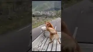 Wapas to aaja yaar Sine se Laga ja yaar status