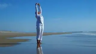 Crépuscule / Mouvement codifié de Danis Bois