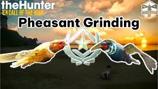 This might be the last stream for a while..... | The Hunter Call of the wild  Pheasant Grind