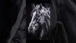 Horse realistic drawing💥🐎|#drawing #horse #black #shorts