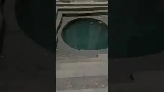 Travel at The Adalaj Stepwell Gujarat