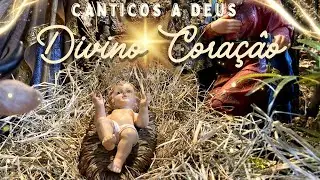 Divino Coração - Comunidade Shalom