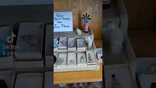 Authentic Fetish Spirit Animals from Zuni Pueblo