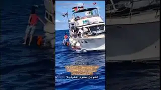 &bull; #FreedomFlotill&bull; #GazaAid&bull; #ShipRescue&bull; #GazaBlockade&bull; #HumanitarianCrisis&bull; #Palestine&bull; #Gaza2