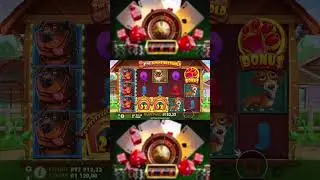 🎰 НЕ ВЕРИЛ ДО КОНЦА... И ВОТ! #doghouse #слоты #занос #x1000 #казиноshorts #бонусник #казино