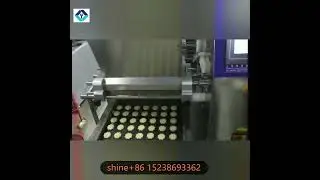 Biscuits and Cookies Making Machine  Cookie Production Equipment  Cookie Machine Biscuit