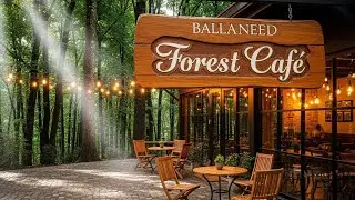 Forest Cafe