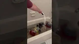 Как оторвать кухонные полотенца