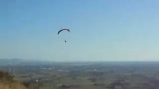 Gerris Fly 2h