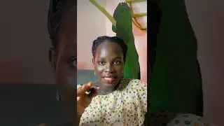 Best Way to Invest ₦500K in Nigeria