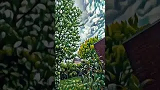 (AI Generated) Garden Trip🌳 #art #ai #trip #trippy #visual #aigenerated #acidtrip