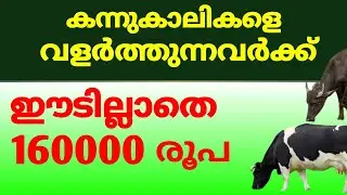 how to get loan for animal husbandry | pashu loan 2025 | pashupalan loan