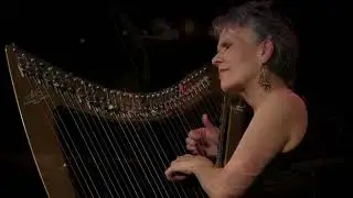 BRUBECKER - Electric Harp & Live Looping | Deborah Henson-Conant