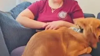 Handling an Aggressive dog with Dog Psychology  Do not try this at home