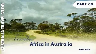 Monarto Safari Park Adelaide 🦁 | Africa in Australia | Part 08
